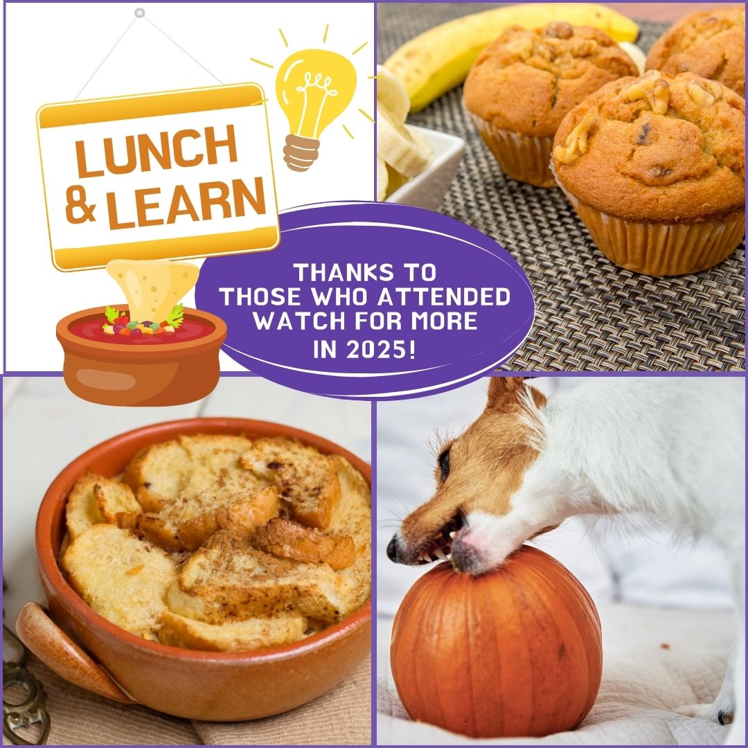 Community Needs Assessment & Focus Group